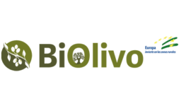 GO_BiOlivo-400x250