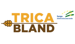 GO_Tricabland-400x250