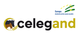 celegand-b1f-400x250
