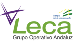 leca2-094-400x250