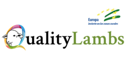 qualitylambs-404-400x250