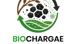 biochargae